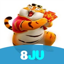 8JV visual
