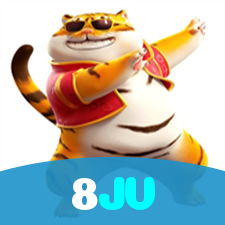 8JV visual