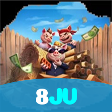 8JV visual